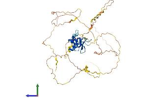 AlphaFold protein structure predicition of Human Recombinant GATA3 Protein, UniprotID P23771