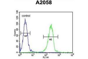 anti-ENTH Domain Containing 1 (ENTHD1) (AA 176-206), (N-Term) antibody