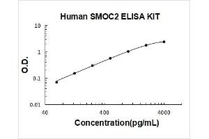 SPARC Related Modular Calcium Binding 2 (SMOC2) ELISA Kit