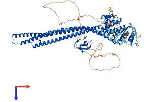 AlphaFold protein structure predicition of Human Recombinant ARHGAP10 Protein, UniprotID A1A4S6