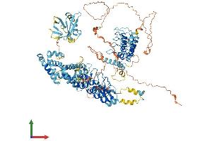 AlphaFold protein structure predicition of Mouse Recombinant Ankrd27 Protein, UniprotID Q3UMR0