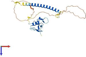 AlphaFold protein structure predicition of Human Recombinant THAP3 Protein, UniprotID Q8WTV1