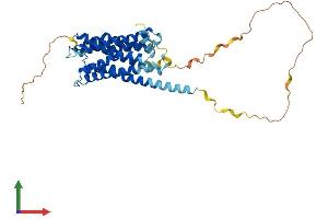 AlphaFold protein structure predicition of Mouse Recombinant Drd4 Protein, UniprotID P51436