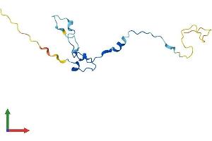 AlphaFold protein structure predicition of Human Recombinant PIERCE1 Protein, UniprotID Q5BN46