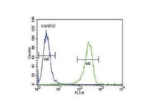Flow cytometric analysis of A2058 cells (right histogram) compared to a negative control cell (left histogram). (PLAT anticorps  (AA 371-399))