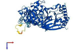 AlphaFold protein structure predicition of Mouse Recombinant Pole2 Protein, UniprotID O54956