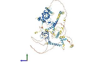 AlphaFold protein structure predicition of Mouse Recombinant Mcm10 Protein, UniprotID Q0VBD2