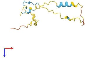 AlphaFold protein structure predicition of Mouse Recombinant Prr15l Protein, UniprotID Q8JZM2