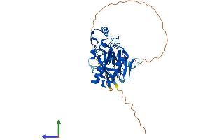 AlphaFold protein structure predicition of Human Recombinant APTX Protein, UniprotID Q7Z2E3