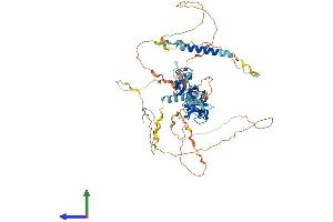 AlphaFold protein structure predicition of Mouse Recombinant Lpp Protein, UniprotID Q8BFW7