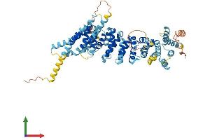 AlphaFold protein structure predicition of Human Recombinant MROH9 Protein, UniprotID Q5TGP6