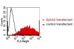FACS analysis of BOSC23 cells using Kα-5H5.