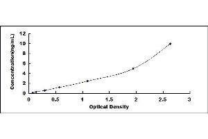 Phosphatidylethanolamine Binding Protein 1 (PEBP1) ELISA Kit