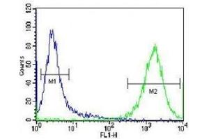 PRMT4 antibody flow cytometric analysis of Jurkat cells (green) compared to a negative control (blue).
