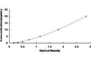 Toll-Like Receptor 8 (TLR8) ELISA Kit