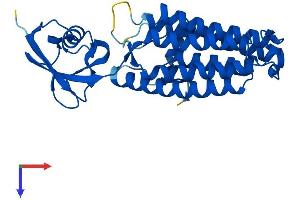 AlphaFold protein structure predicition of Mouse Recombinant Tecr Protein, UniprotID Q9CY27