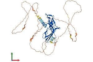AlphaFold protein structure predicition of Mouse Recombinant Gcm1 Protein, UniprotID P70348