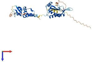 AlphaFold protein structure predicition of Mouse Recombinant Kctd13 Protein, UniprotID Q8BGV7
