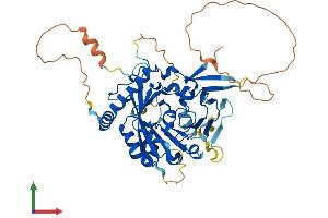 AlphaFold protein structure predicition of Mouse Recombinant Mettl4 Protein, UniprotID Q3U034