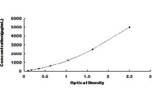 Typical Standard Curve (DPYD Kit ELISA)