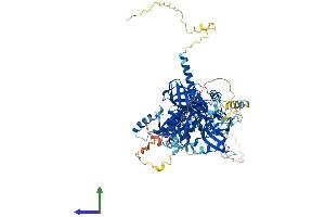 AlphaFold protein structure predicition of Mouse Recombinant Tsr1 Protein, UniprotID Q5SWD9