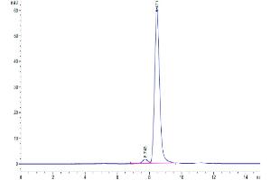 The purity of Cynomolgus HPX is greater than 95 % as determined by SEC-HPLC.