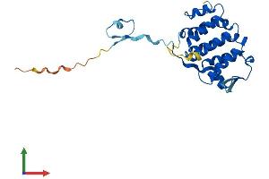 AlphaFold protein structure predicition of Mouse Recombinant Pacrg Protein, UniprotID Q9DAK2