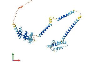 AlphaFold protein structure predicition of Mouse Recombinant Nfkbil1 Protein, UniprotID O88995