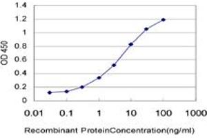 Detection limit for recombinant GST tagged RCV1 is approximately 0. (Recoverin anticorps  (AA 101-199))