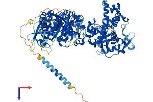 AlphaFold protein structure predicition of Mouse Recombinant Ndst3 Protein, UniprotID Q9EQH7