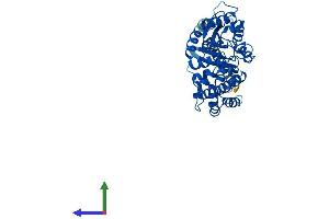 AlphaFold protein structure predicition of Mouse Recombinant Gna12 Protein, UniprotID P27600 (GNA12 Protein (AA 1-379) (His tag))