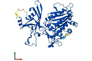 AlphaFold protein structure predicition of Mouse Recombinant Dnpep Protein, UniprotID Q9Z2W0