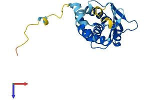 AlphaFold protein structure predicition of Human Recombinant TRAPPC5 Protein, UniprotID Q8IUR0