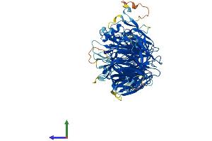 AlphaFold protein structure predicition of Human Recombinant ELP2 Protein, UniprotID Q6IA86