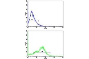 Flow cytometric analysis of HepG2 cells using CD38 antibody (bottom histogram) compared to a negative control cell (top histogram).