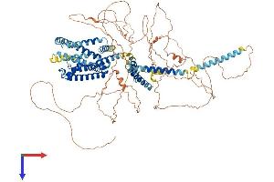 AlphaFold protein structure predicition of Mouse Recombinant Kcnq5 Protein, UniprotID Q9JK45