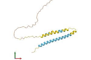 AlphaFold protein structure predicition of Mouse Recombinant Ifitm2 Protein, UniprotID Q99J93