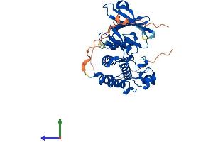 AlphaFold protein structure predicition of Human Recombinant PIM3 Protein, UniprotID Q86V86