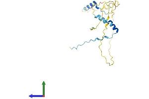 AlphaFold protein structure predicition of Mouse Recombinant Ppp1r1b Protein, UniprotID Q60829