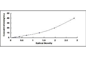Transferrin Receptor 2 (TFR2) ELISA Kit