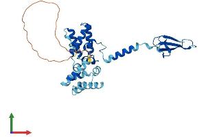 AlphaFold protein structure predicition of Human Recombinant TCEA1 Protein, UniprotID P23193