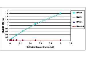 NAD+ Standard Curve and Specificity of Assay for NAD+ and NADH. (NAD+/NADH Assay Kit)