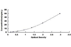 Typical standard curve