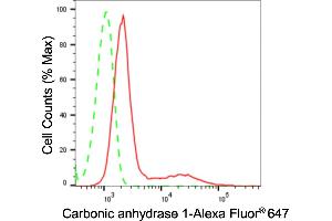 Flow cytometric analysis of Carbonic anhydrase 1 expression in H9c2 cells using Carbonic anhydrase 1 antibody (ABIN7797867), 1:2,000). (Recombinant CA1 anticorps)