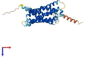 AlphaFold protein structure predicition of Mouse Recombinant Mrgpre Protein, UniprotID Q91ZB7
