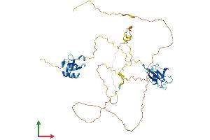 AlphaFold protein structure predicition of Human Recombinant DCDC2 Protein, UniprotID Q9UHG0