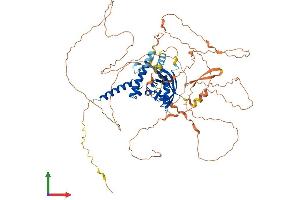 AlphaFold protein structure predicition of Human Recombinant AHRR Protein, UniprotID A9YTQ3