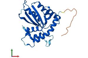 AlphaFold protein structure predicition of Human Recombinant APOBEC3H Protein, UniprotID Q6NTF7