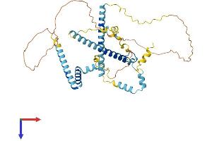AlphaFold protein structure predicition of Mouse Recombinant Cwc25 Protein, UniprotID Q9DBF7