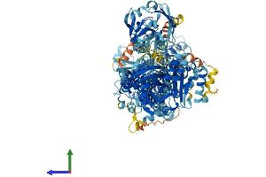 AlphaFold protein structure predicition of Mouse Recombinant Atp8b5 Protein, UniprotID A3FIN4